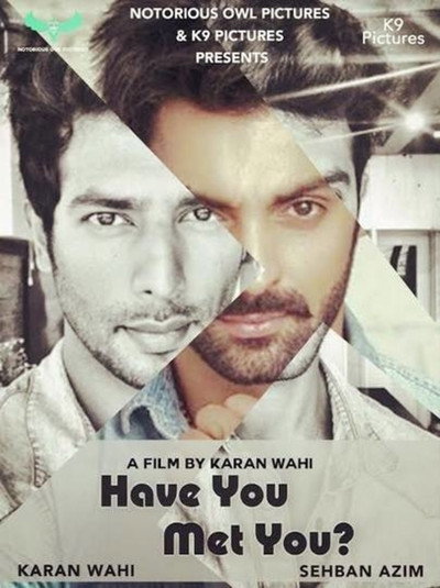 Póster de Have You Met You