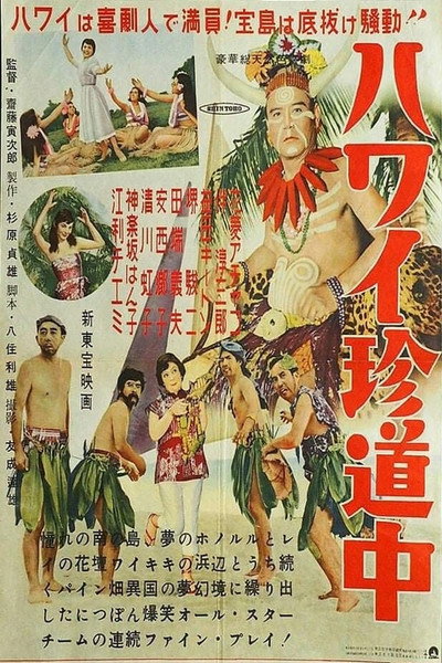 Póster de Hawai chindochu
