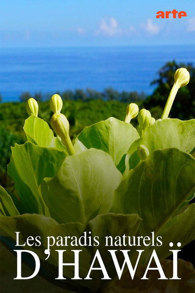 Póster de Hawaiis versteckte Paradiese
