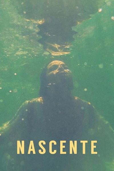 Póster de Headstream