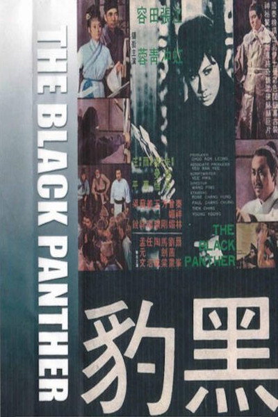 Póster de Hei bao