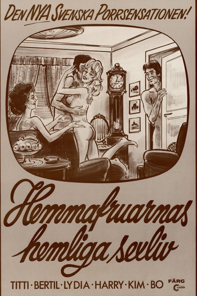 Póster de Hemmafruarnas hemliga sexliv