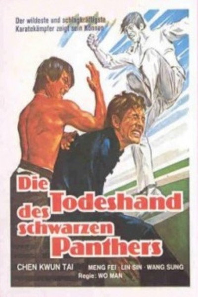 Póster de Hero of Shanghai