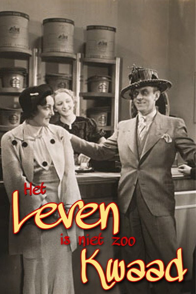Póster de Het leven is niet zo kwaad