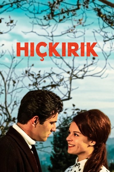Póster de Hiçkirik