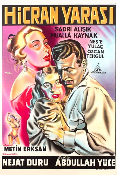 Póster de Hicran yarasi