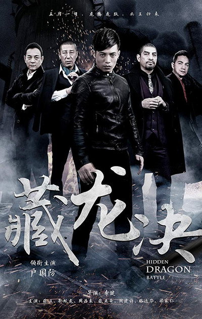Póster de Hidden Dragon Battle