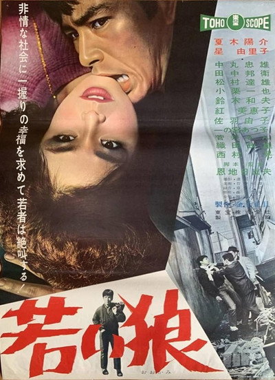 Póster de Hidden Fangs