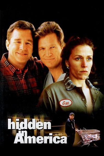 Póster de Hidden in America