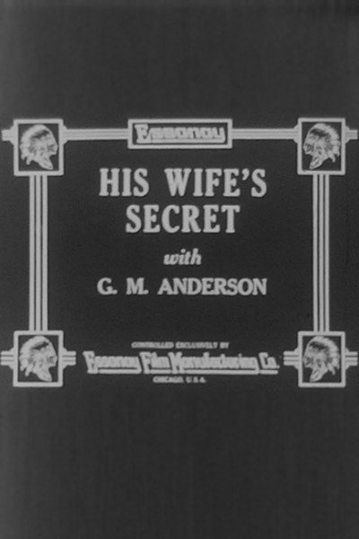 Póster de His Wife's Secret