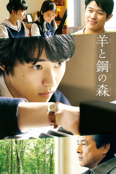 Póster de Hitsuji to hagane no mori