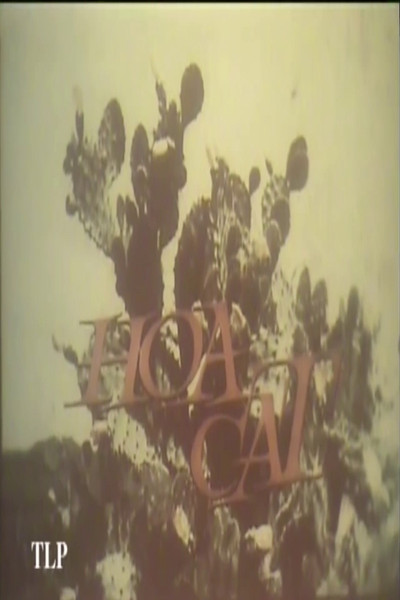 Póster de Hoa Cát