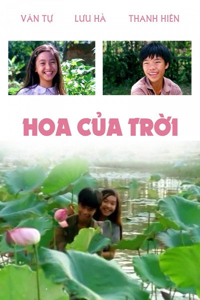 Póster de Hoa Cua Troi