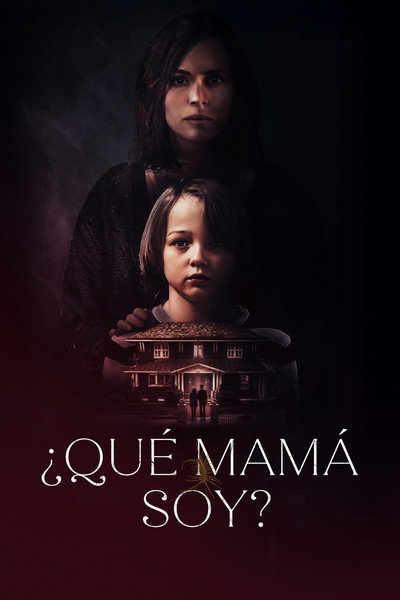 Póster de Home