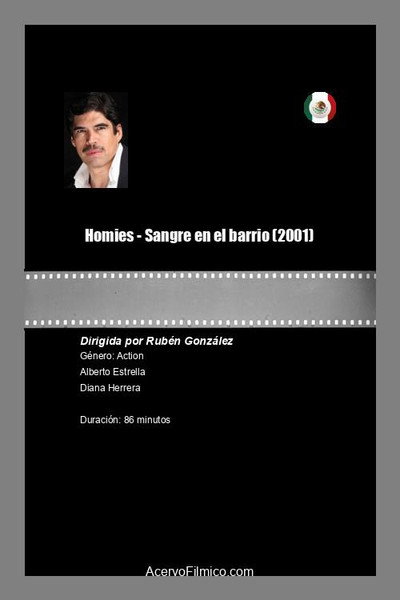 Póster de Homies - Sangre en el barrio