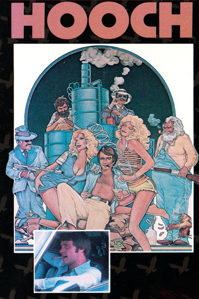Póster de Hooch