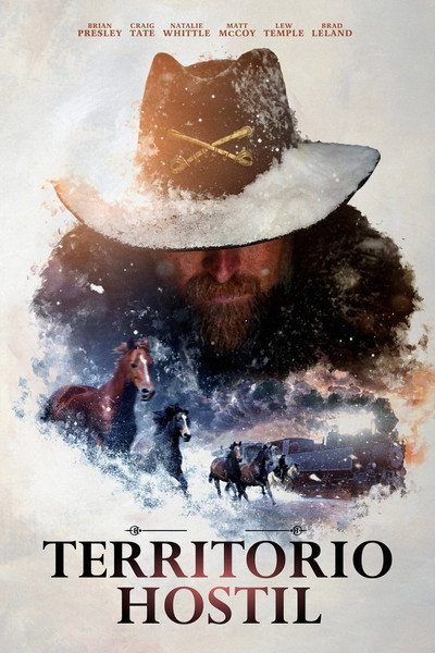 Póster de Hostile Territory