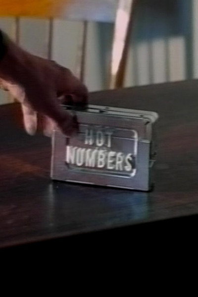 Póster de Hot Numbers