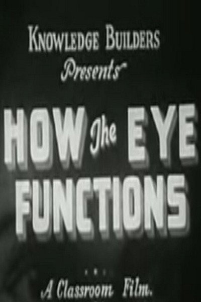 Póster de How the Eye Functions