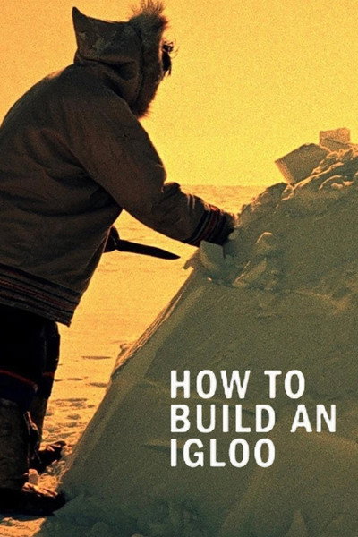 Póster de How to Build an Igloo