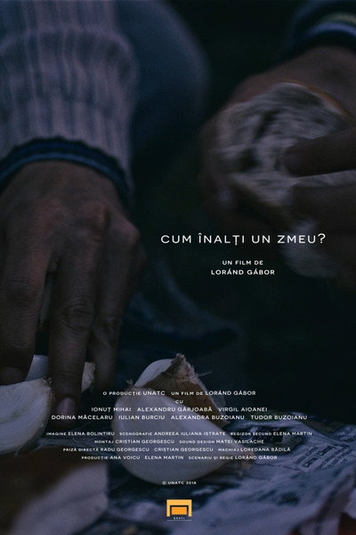 Póster de How to Fly a Kite?