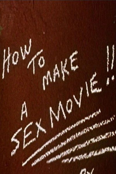 Póster de How to Make a Sex Movie!!