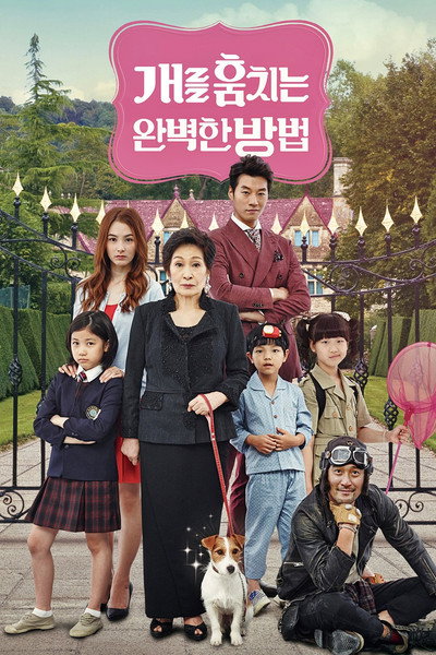 Póster de How to Steal a Dog