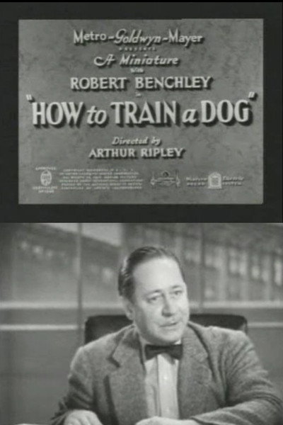 Póster de How to Train a Dog