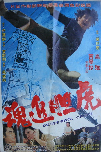 Póster de Hu dan zhui hun