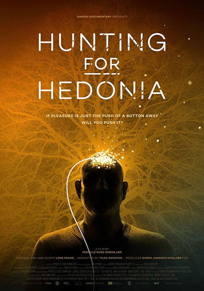 Póster de Hunting for Hedonia