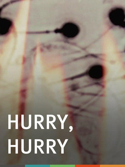 Póster de Hurry Hurry