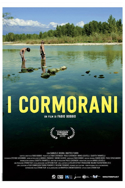 Póster de I cormorani