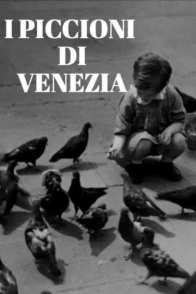 Póster de I piccioni di Venezia