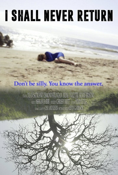 Póster de I Shall Never Return