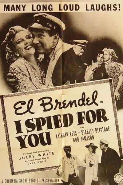 Póster de I Spied for You