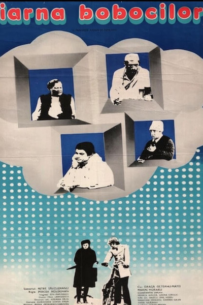 Póster de Iarna bobocilor