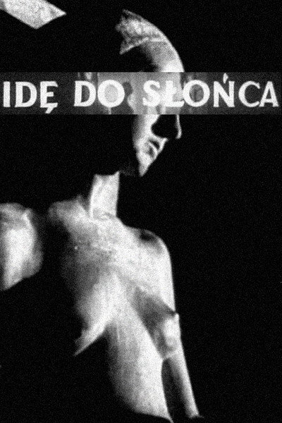 Póster de Ide do slonca