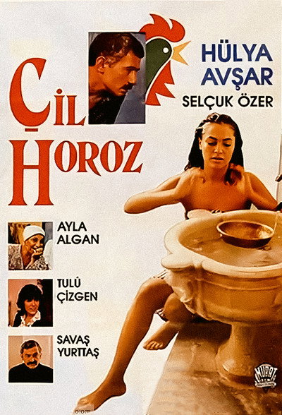 Póster de Çil Horoz