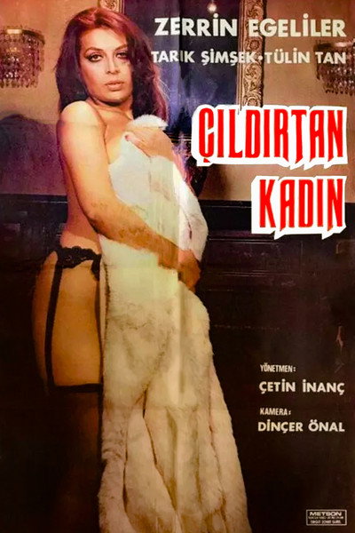 Póster de Çildirtan Kadin