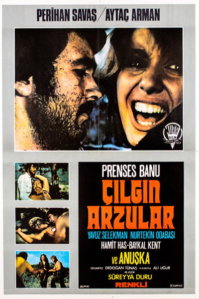Póster de Çilgin Arzular