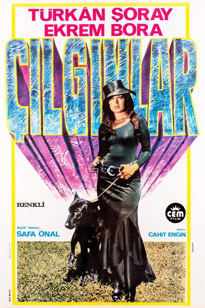 Póster de Çilginlar