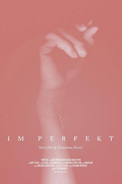Póster de IM perfekt