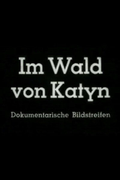 Póster de Im Wald von Katyn
