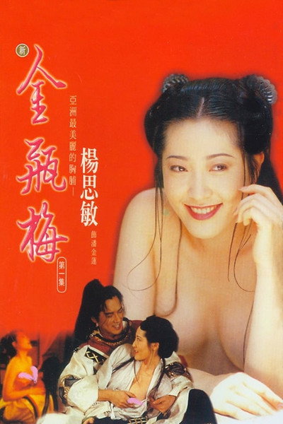 Póster de 新金瓶梅 第一集