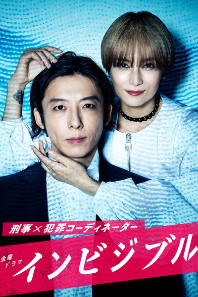 Póster de インビジブル