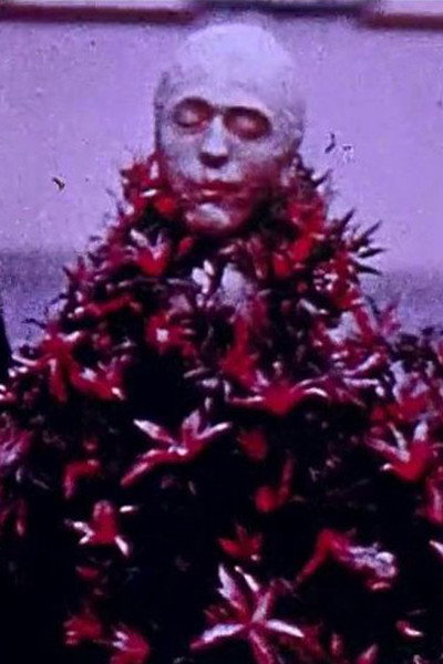 Póster de Images du carnaval de Bâle