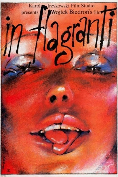 Póster de In flagranti