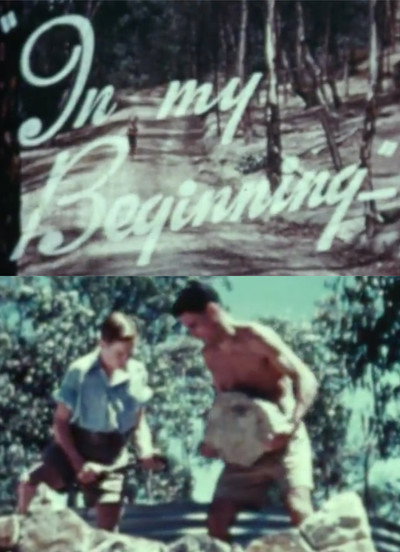 Póster de In My Beginning
