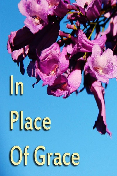 Póster de In Place of Grace
