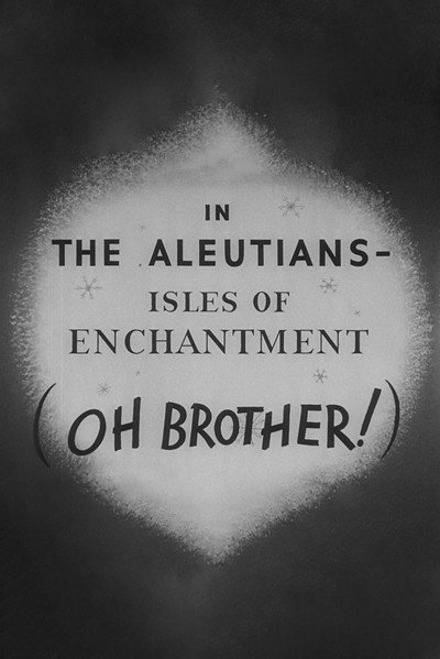 Póster de In the Aleutians